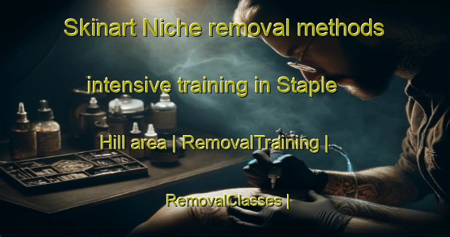 Skinart Niche removal methods intensive training in Staple Hill area | RemovalTraining | RemovalClasses | SkinartTraining-United Kingdom